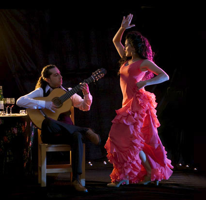 Онлайн-уроки танцев бесплатно. Фламенко. Часть первая 