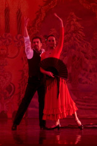 Характеристика испанского национального танца (фото, видео)