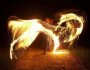 Игровой автомат Flame Dancer на Вулкан 24: Поклонникам экзотики посвящается
